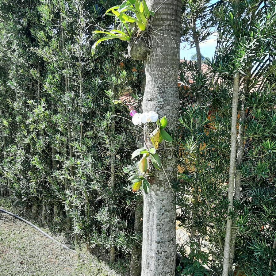 Chacara Em Atibaia Villa Exterior foto